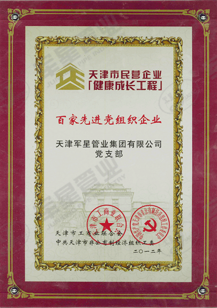 百家先进党组织企业