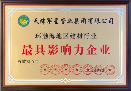 2023.10（铜牌）环渤海地区建材行业最具影响力企业