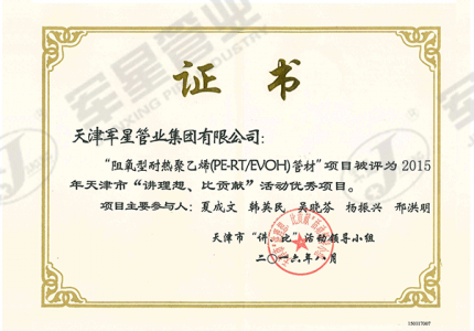 优秀项目证书