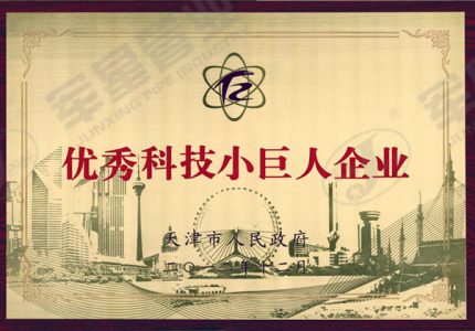 优秀科技小巨人企业